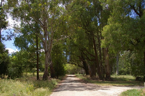 Stanley Goose Cottage - Tourism Adelaide 2