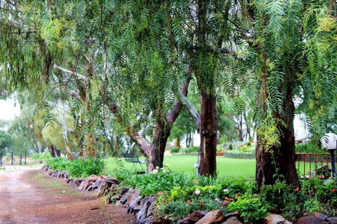 Outback Cellar & Country Cottage - Tourism Adelaide 2