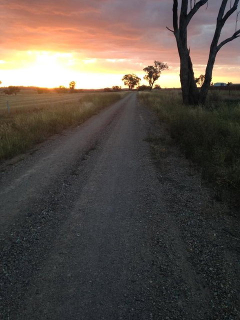 Outback Cellar & Country Cottage - Tourism Adelaide 5