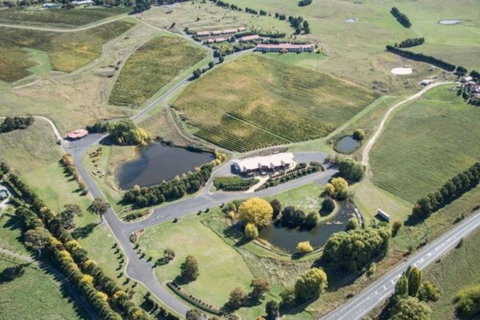Turners Vineyard Motel And Function Centre - Tourism Adelaide 1