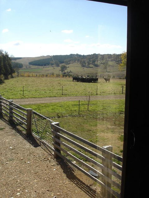Black Sheep Inn - Tourism Adelaide 3