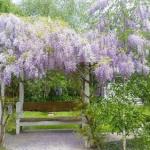 Amelina Cottages - Tourism Adelaide 0