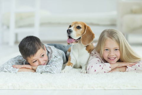 BOUTIQUE STAYS - Brighton Rose - Tourism Adelaide 2