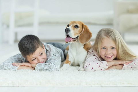 BOUTIQUE STAYS - Roxys Place - Tourism Adelaide 4