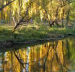 On The Banks - Tourism Adelaide