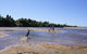 Elliot River Retreat - thumb 1