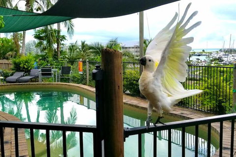 Backpackers By The Bay - Tourism Adelaide 3