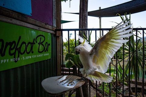 Backpackers By The Bay - Tourism Adelaide 2