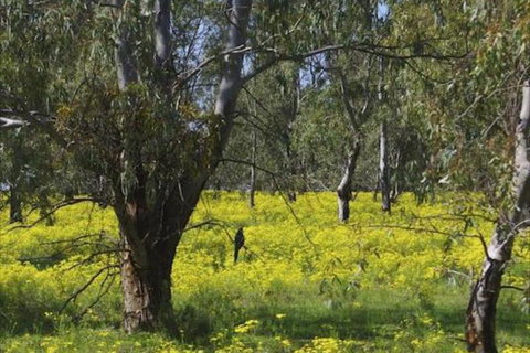 Broken Gum Country Retreat - Tourism Adelaide 3