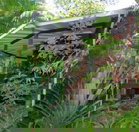 Mt Warning Rainforest Retreat - Tourism Adelaide