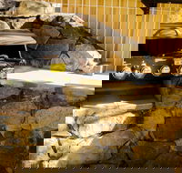 Coral Sea Vista Apartments