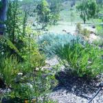 Alma WA Tourism Adelaide