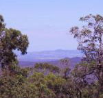 Ravensbourne Escape Cedar Lodge - Tourism Adelaide