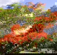 Eastwood Farm - Tourism Adelaide