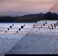 Tallebudgera Creek Tourist Park - Tourism Adelaide