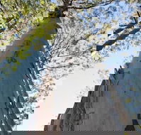 Salisbury Lodges - Tourism Adelaide