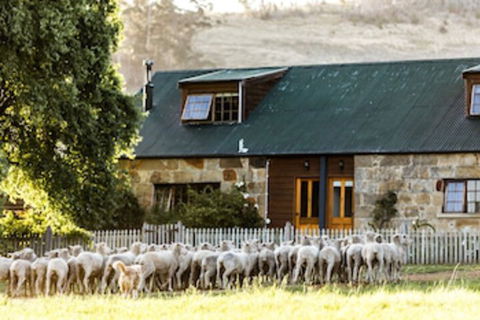 Daisy Bank Cottages - Tourism Adelaide 0