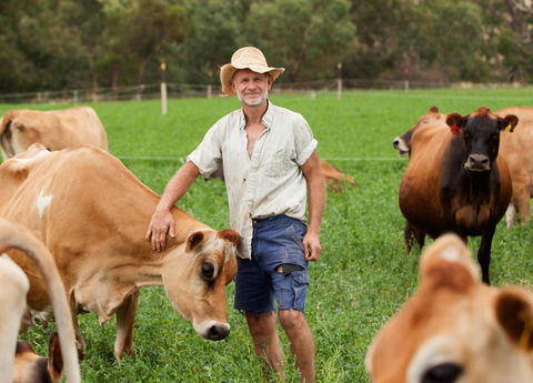 Dairymans Cottage - Tourism Adelaide 3