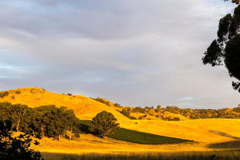 Dairymans Cottage - Tourism Adelaide 6