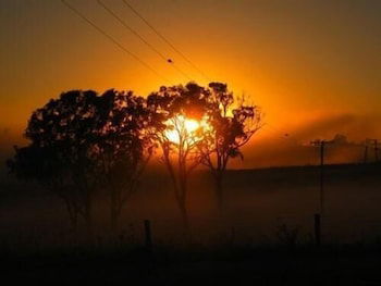 Lochinvar House B&B - Tourism Adelaide 3