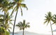 Palm Bungalows - thumb 2