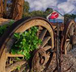 Bellum Hotel - Tourism Adelaide