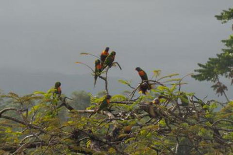 Babinda Quarters - Tourism Adelaide 4