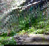 Lemonade Creek Cottages - Tourism Adelaide