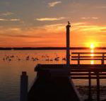 Bayview Boathouse - Tourism Adelaide