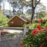 Dalmeny NSW Tourism Adelaide