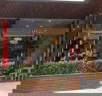 Walrus - Japanese - Tourism Adelaide
