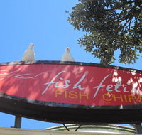 Fish Fetish - Tourism Adelaide