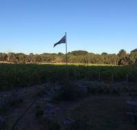 Lazzar Wines - Tourism Adelaide