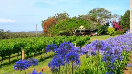 Port Macquarie NSW Tourism Adelaide