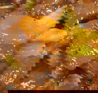 Golden Inn Restaurant - Tourism Adelaide