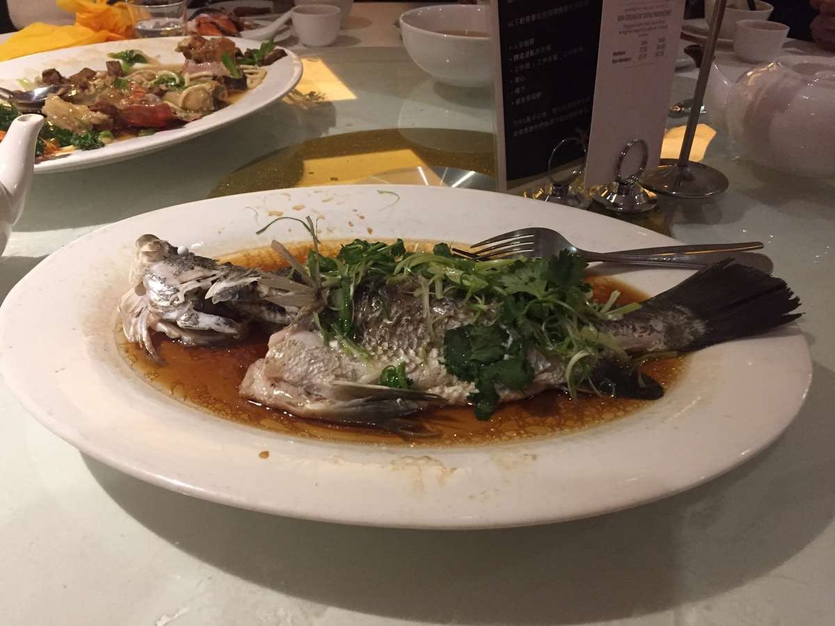 West Ryde NSW Tourism Adelaide