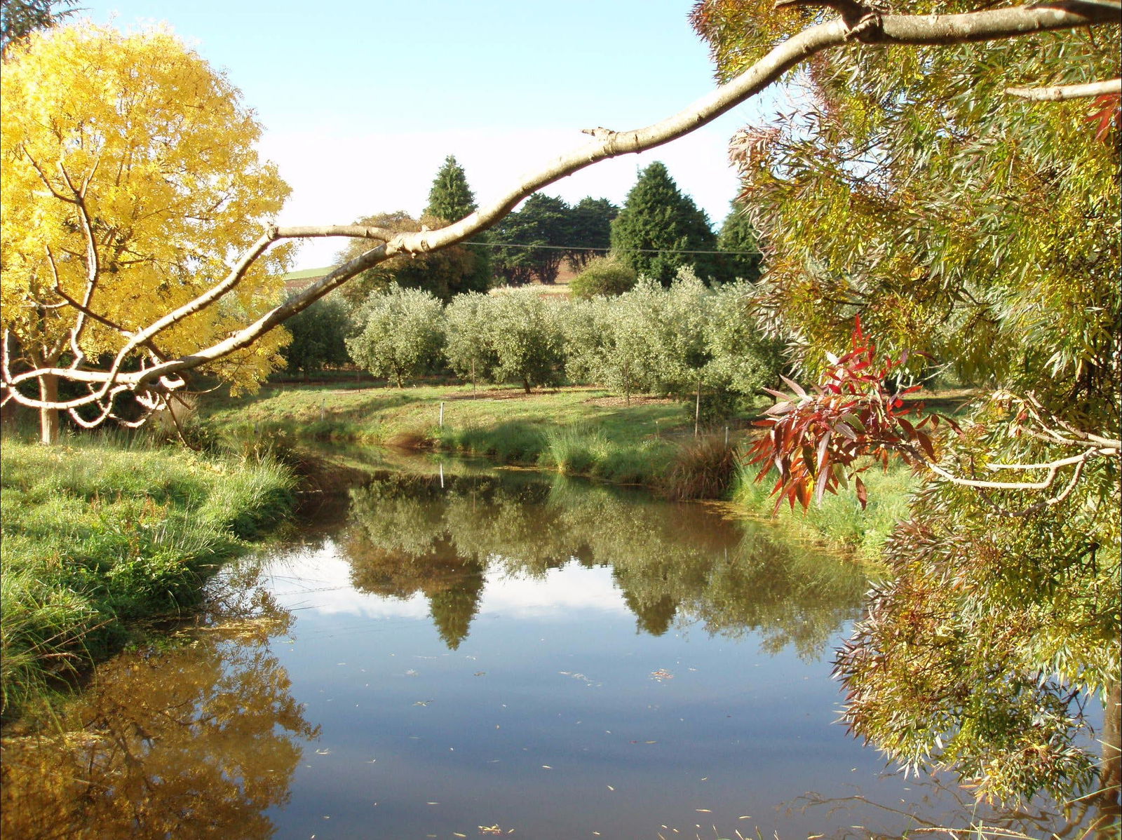Abbotsham TAS Tourism Adelaide