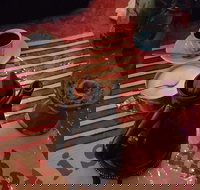 Boost Juice - Perth CBD - Tourism Adelaide