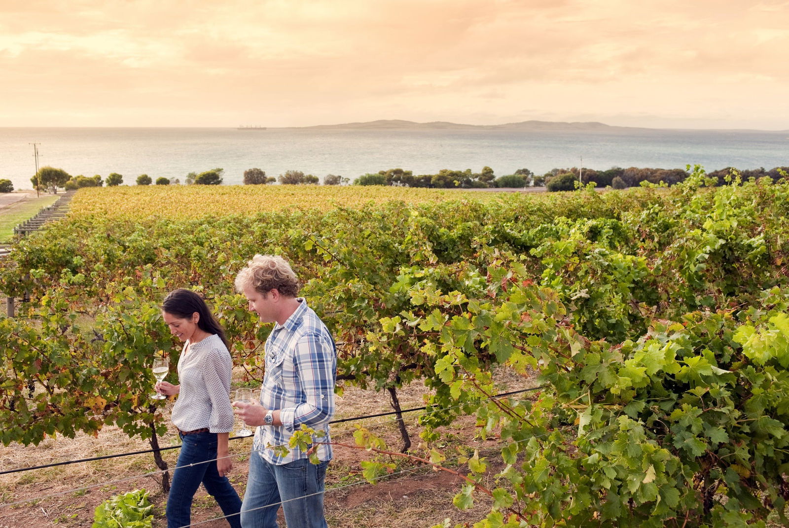  Tourism Adelaide