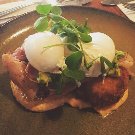 A Fan's Notes - Tourism Adelaide 0