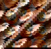 Lune Croissanterie - Fitzroy - Tourism Adelaide