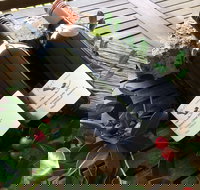 Hill of Promise Winery and Cellar Door - Tourism Adelaide