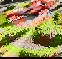 Runaway Cupcakes - Tourism Adelaide