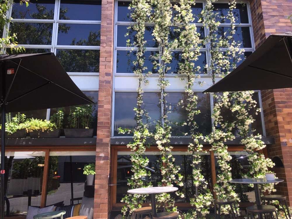 Grange QLD Tourism Adelaide