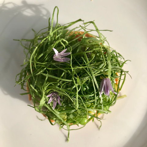 Drink Ottelia + Eat Fodder - Tourism Adelaide 1