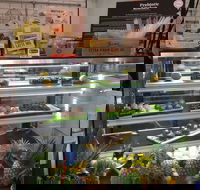 Green Grotto - Tourism Adelaide