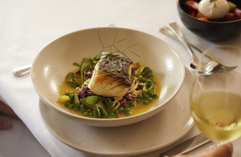 Eschalot - Tourism Adelaide 1