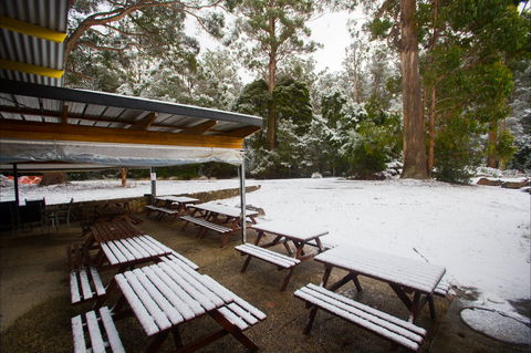 Waterfalls Cafe & Gallery - Tourism Adelaide 0