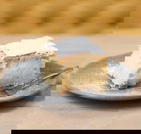 The Vanilla Slice Cafe Sorrento - Tourism Adelaide