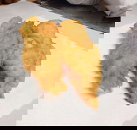 Hooked and Cooked Fish and Chips - Tourism Adelaide